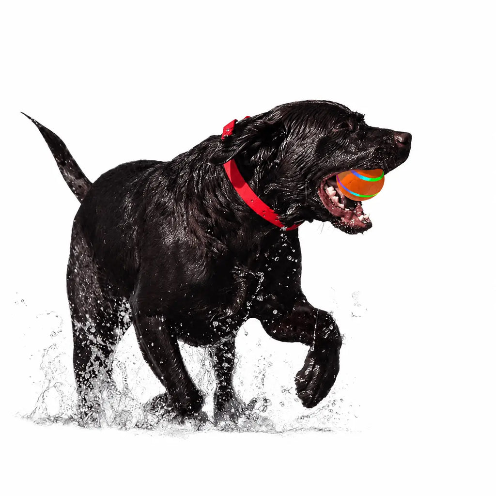 Automatic Pet Ball Toy – USB Rechargeable Interactive Rolling Ball