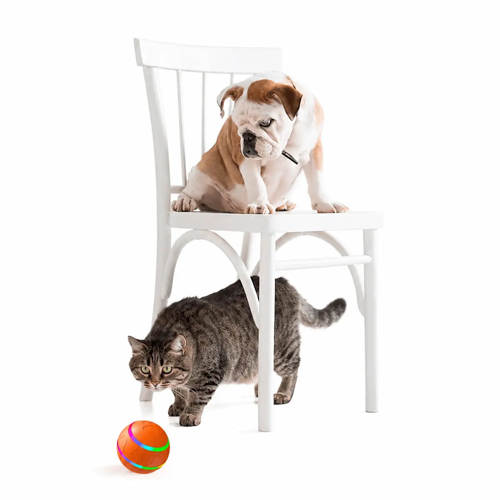 Automatic Pet Ball Toy – USB Rechargeable Interactive Rolling Ball