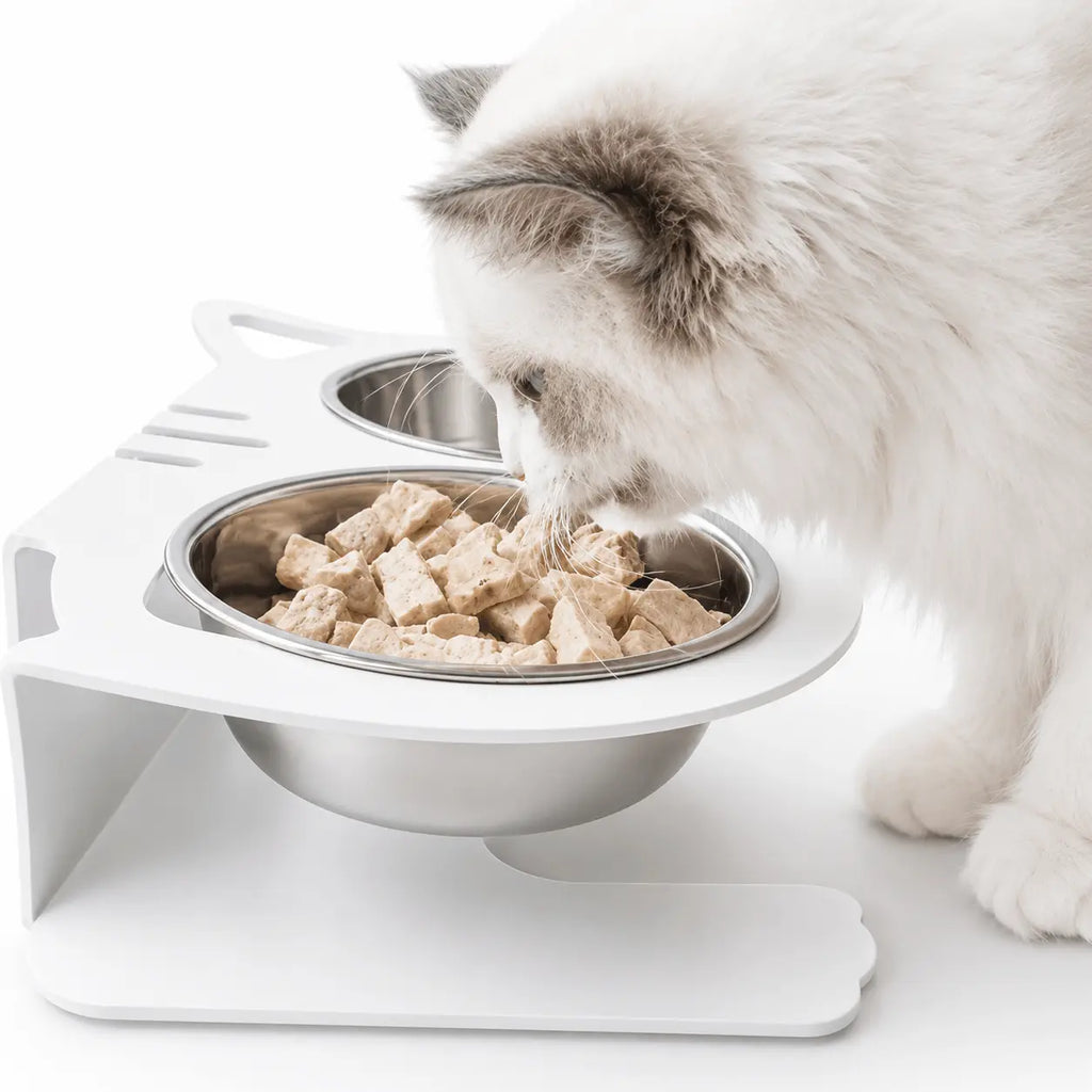 Anti-Spill Pet Bowl – Stainless Steel Food & Water Feeder