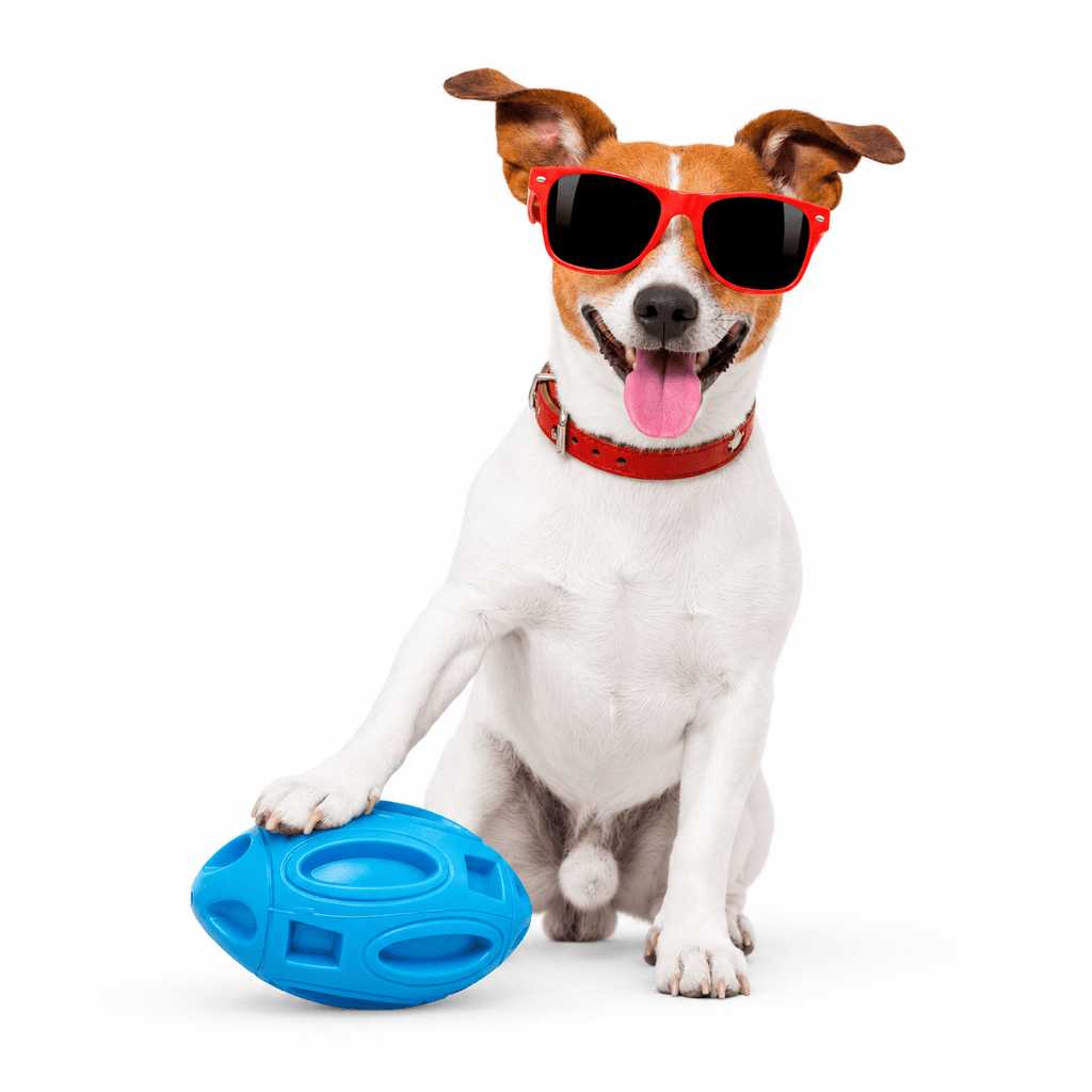 Rubber Rugby Dog Toy – Interactive Squeaky Chew Ball