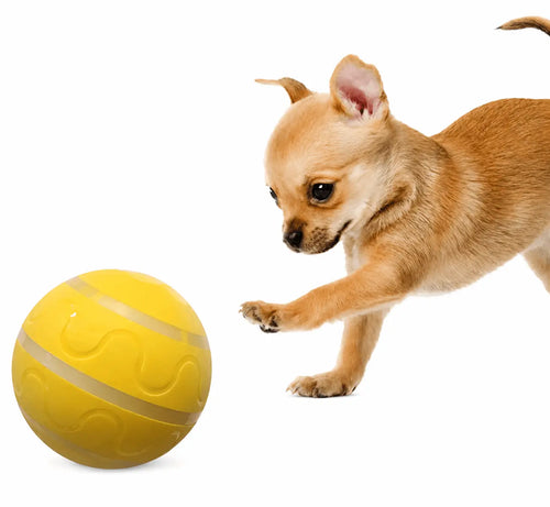 Petigle Automatic Interactive Dog Ball Toy