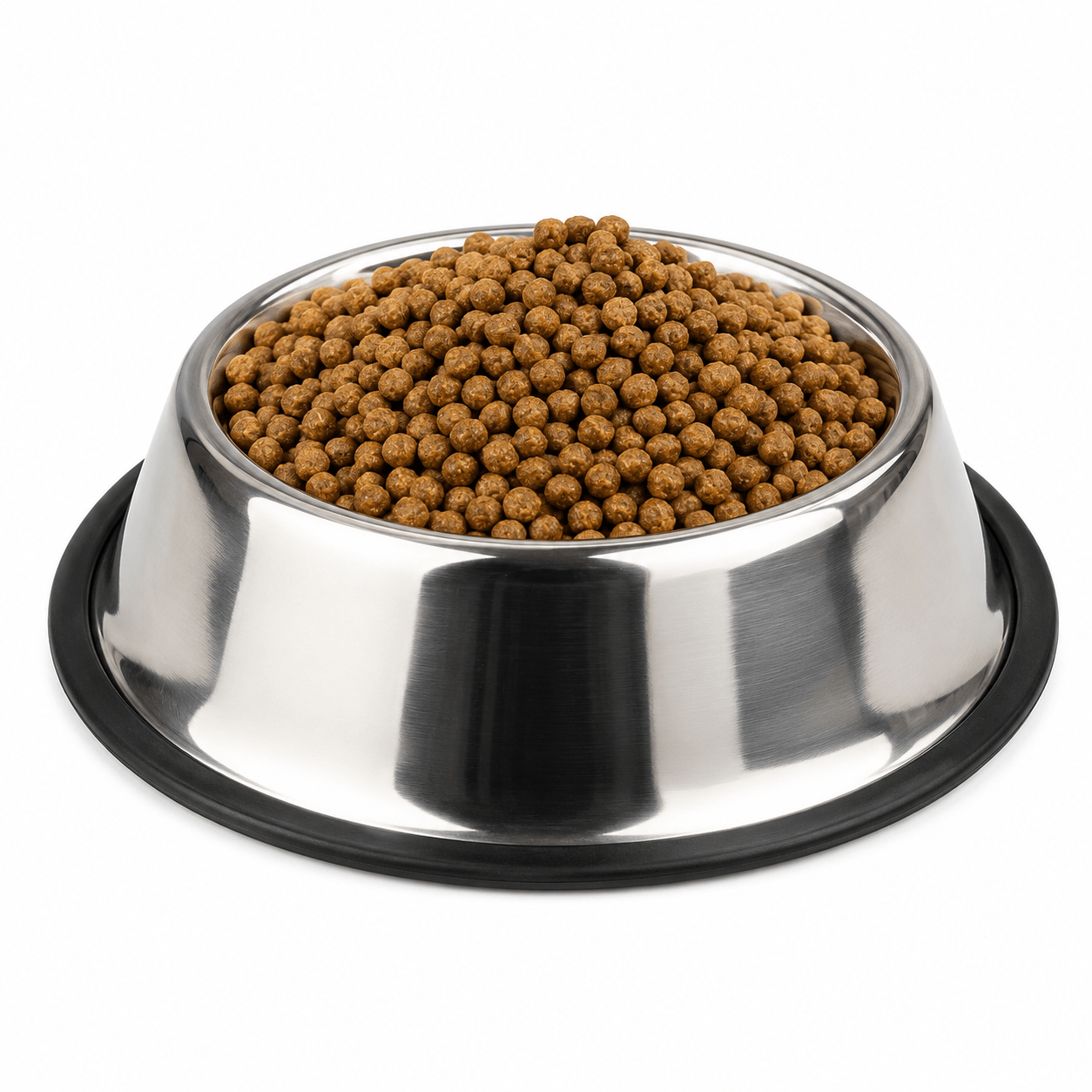 Stainless Steel Pet Bowl – Non-Slip Food & Water Bowl