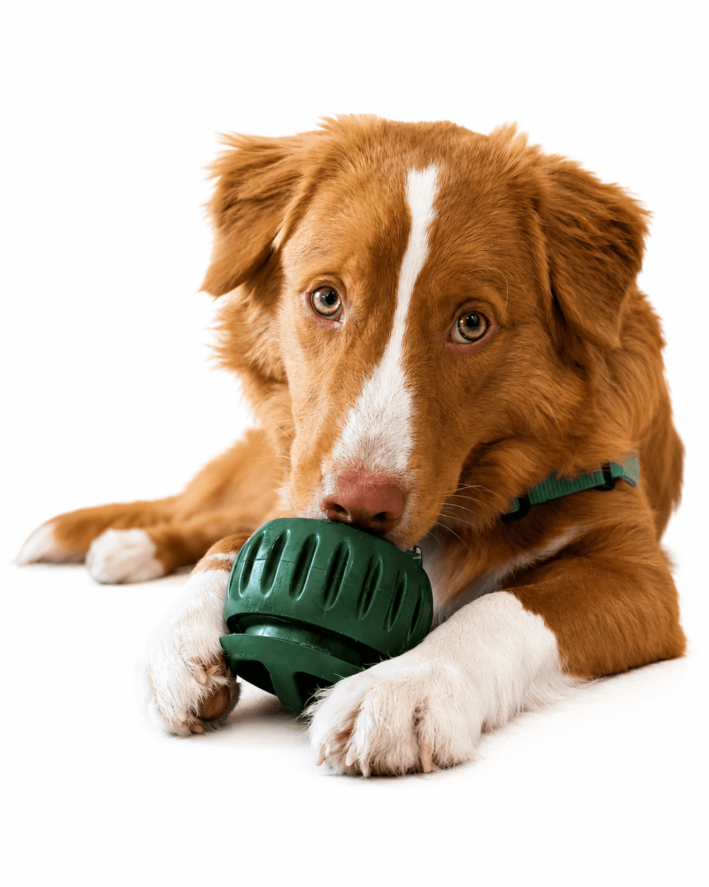 Silicone Slow Feeder Ball – Interactive Dog Food Dispensing Toy