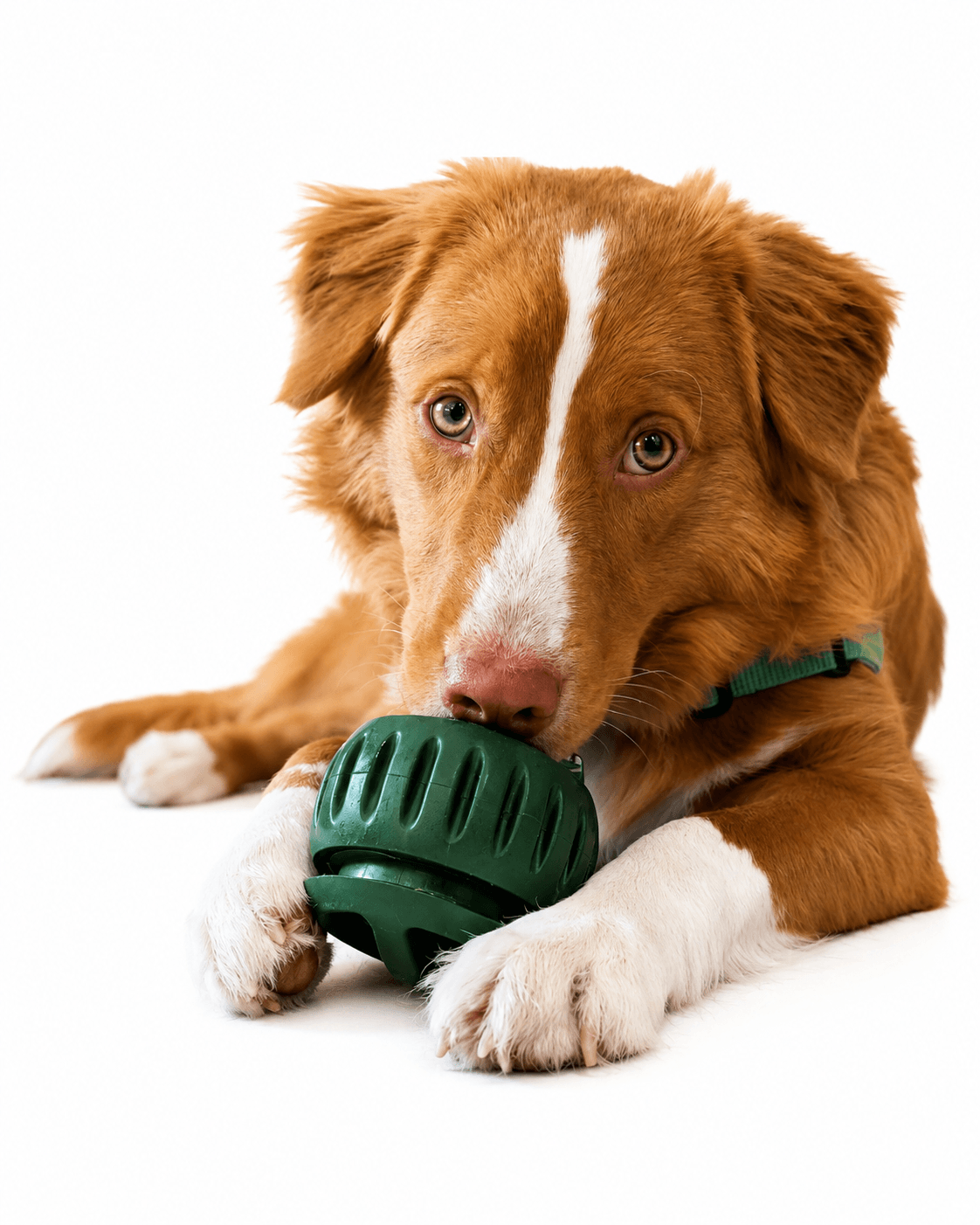 Silicone Slow Feeder Ball – Interactive Dog Food Dispensing Toy