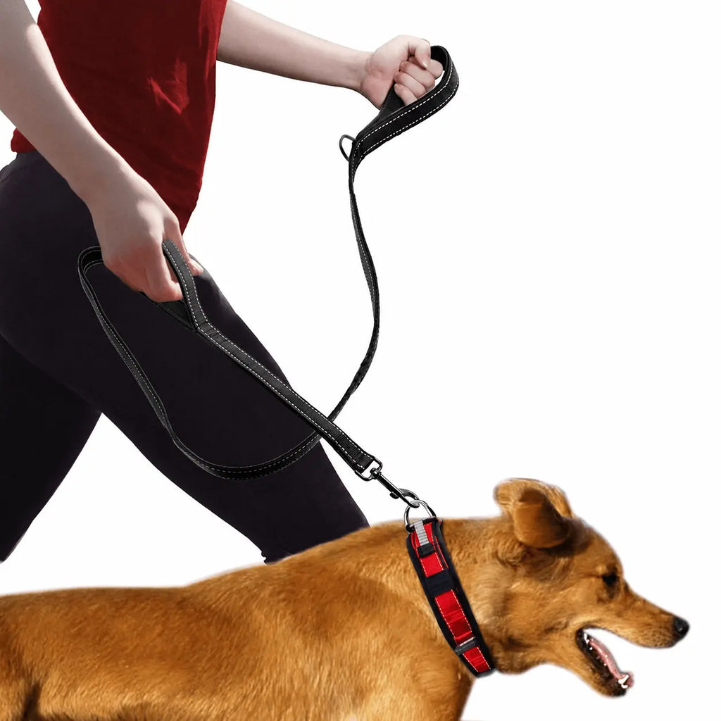 Double Handle Dog Leash – Reflective Nylon Training Lead